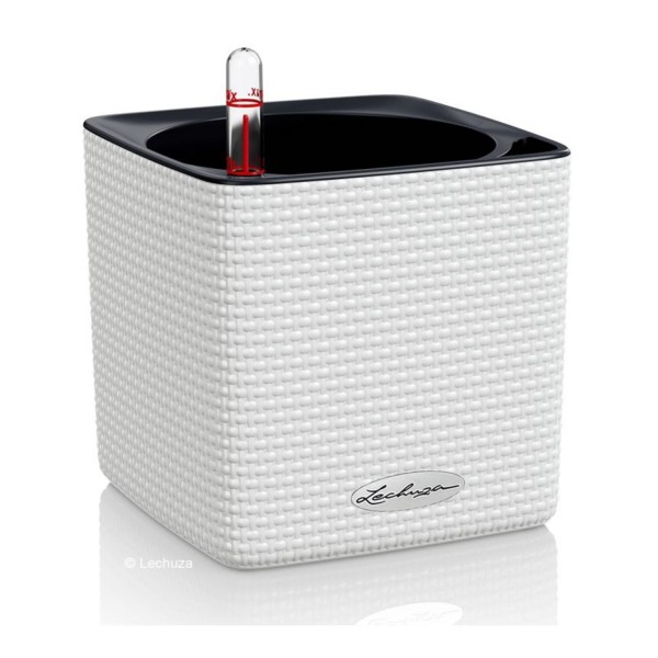 Lechuza  Cube Color 14 mit Stick-System weiß 13380 