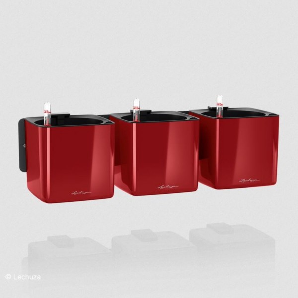 Lechuza Green Wall Home Kit Glossy scarlet rot highgloss 13525 hier