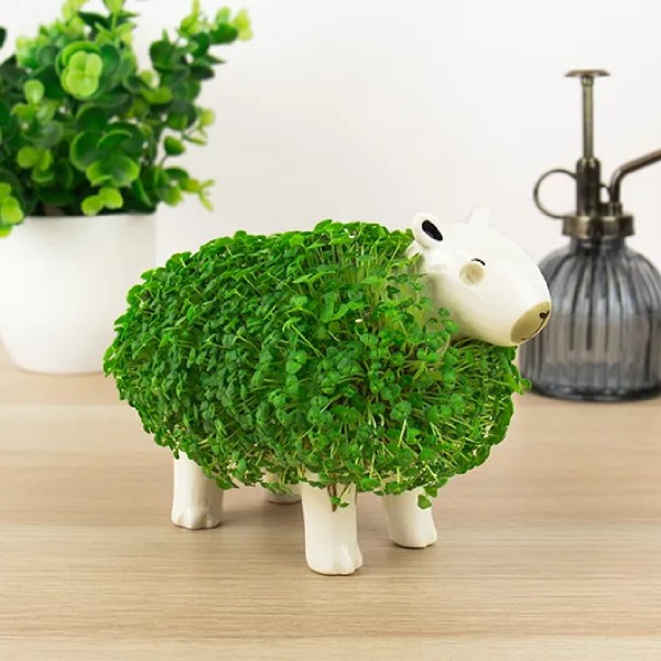 Gift Republic Capybara Chia Pflanzgefäß 18670 