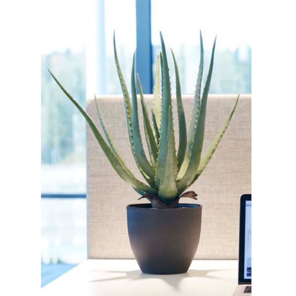 Götessons Aloe Vera 550, künstliche Pflanze, 160007 
