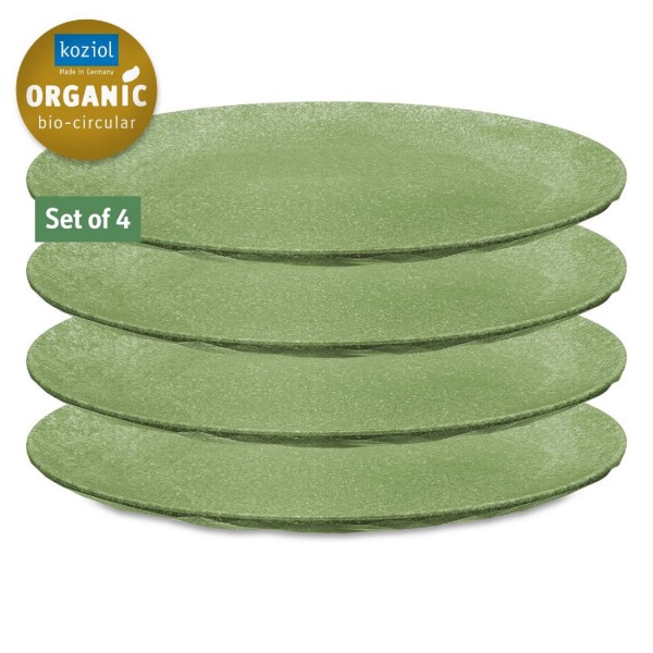 Koziol CLUB PLATE 4 flache Teller 260 mm nature green 5005703 