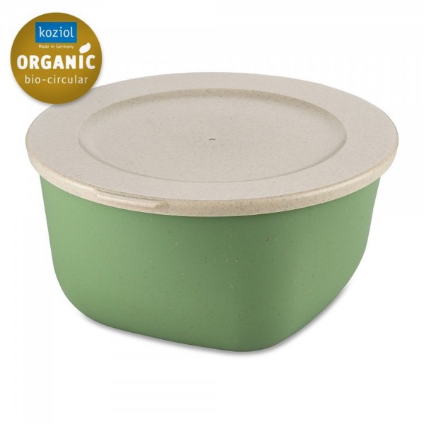Koziol CONNECT BOX 2  mit Deckel 2 L nature leaf green 7871703 