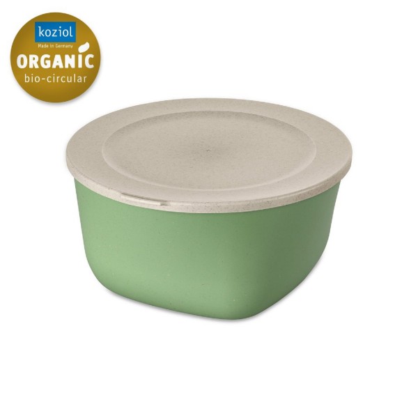 Koziol CONNECT BOX 4  mit Deckel 4 L nature leaf green 7872703 