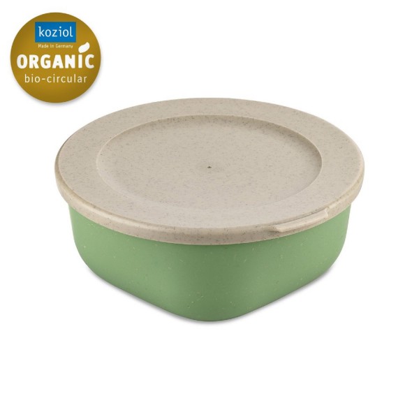 Koziol CONNECT BOX  mit Deckel 0,7 L nature leaf green 7274703 