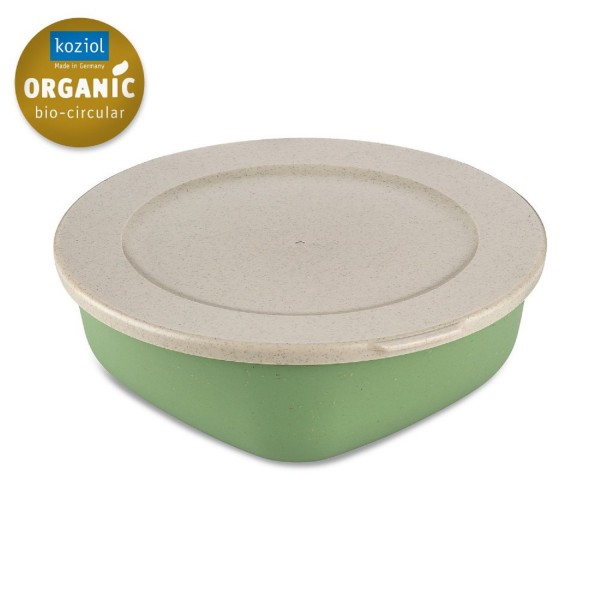 Koziol CONNECT BOX 1,3 mit Deckel 1,3 L nature leaf green 7275703 