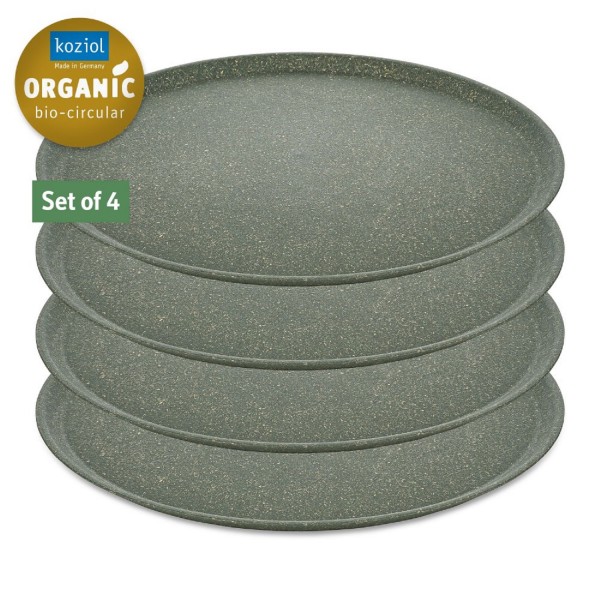 Koziol CONNECT PLATE 255 mm großer Teller 4er Set nature ash grey7101701 
