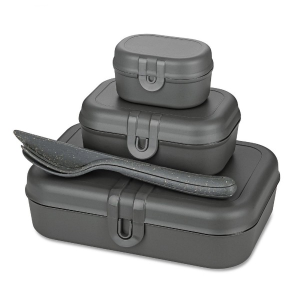 Koziol PASCAL READY Lunchbox-Set + Besteck nature ash grey 7168701 