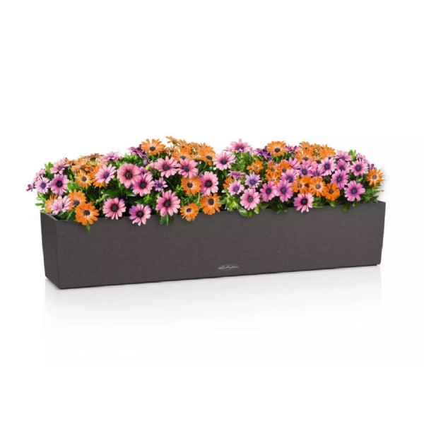 Lechuza Balkonkasten BALCONERA Stone 100 graphitschwarz 15436 
