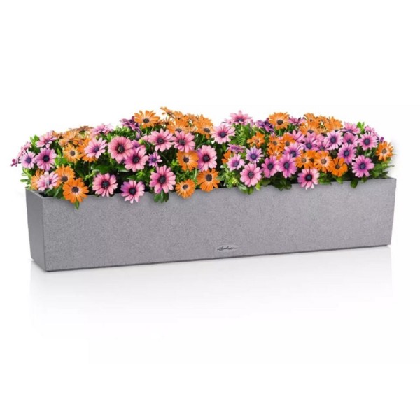 Lechuza Balkonkasten BALCONERA Stone 100 steingrau 15438 
