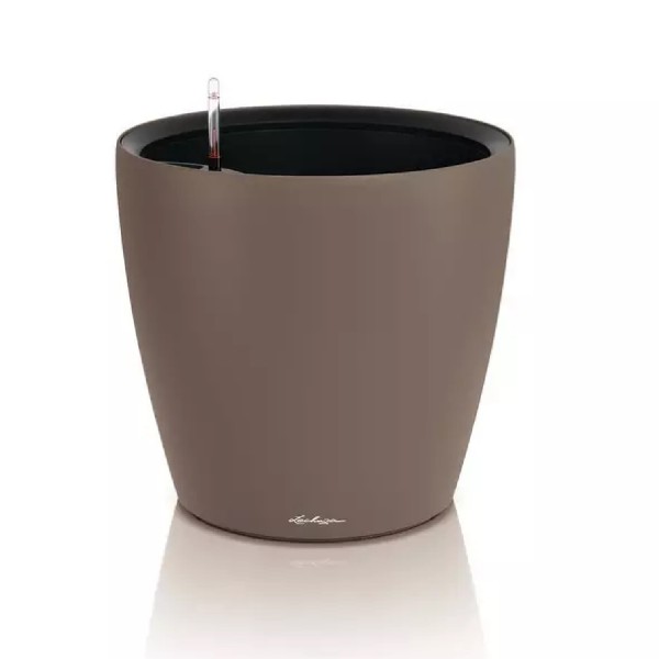 Lechuza Classico Color LS 50, muskat 19472 