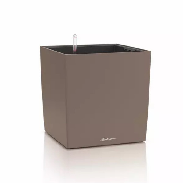 Lechuza CUBE Color 40, muskat, 19453 