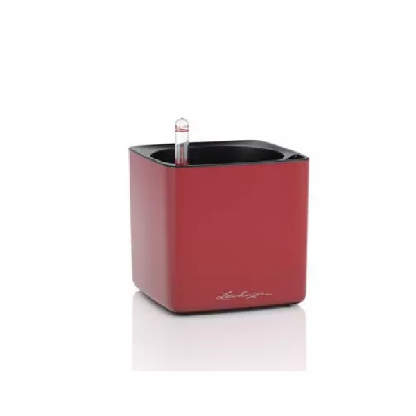 Lechuza Cube Premium 14 scarlet rot matt 13502 
