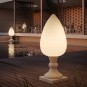 morepic-1