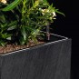 morepic-2