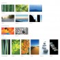 morepic-3