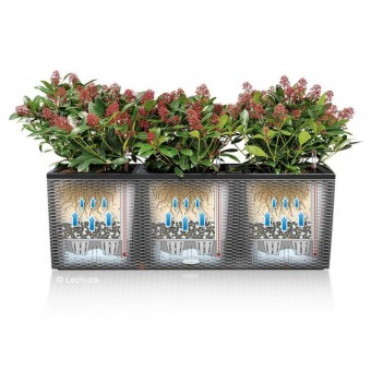 Lechuza Pflanztrog Trio Cottage 40 sandbraun 15026 hier bestellen | im