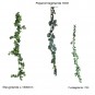 morepic-4