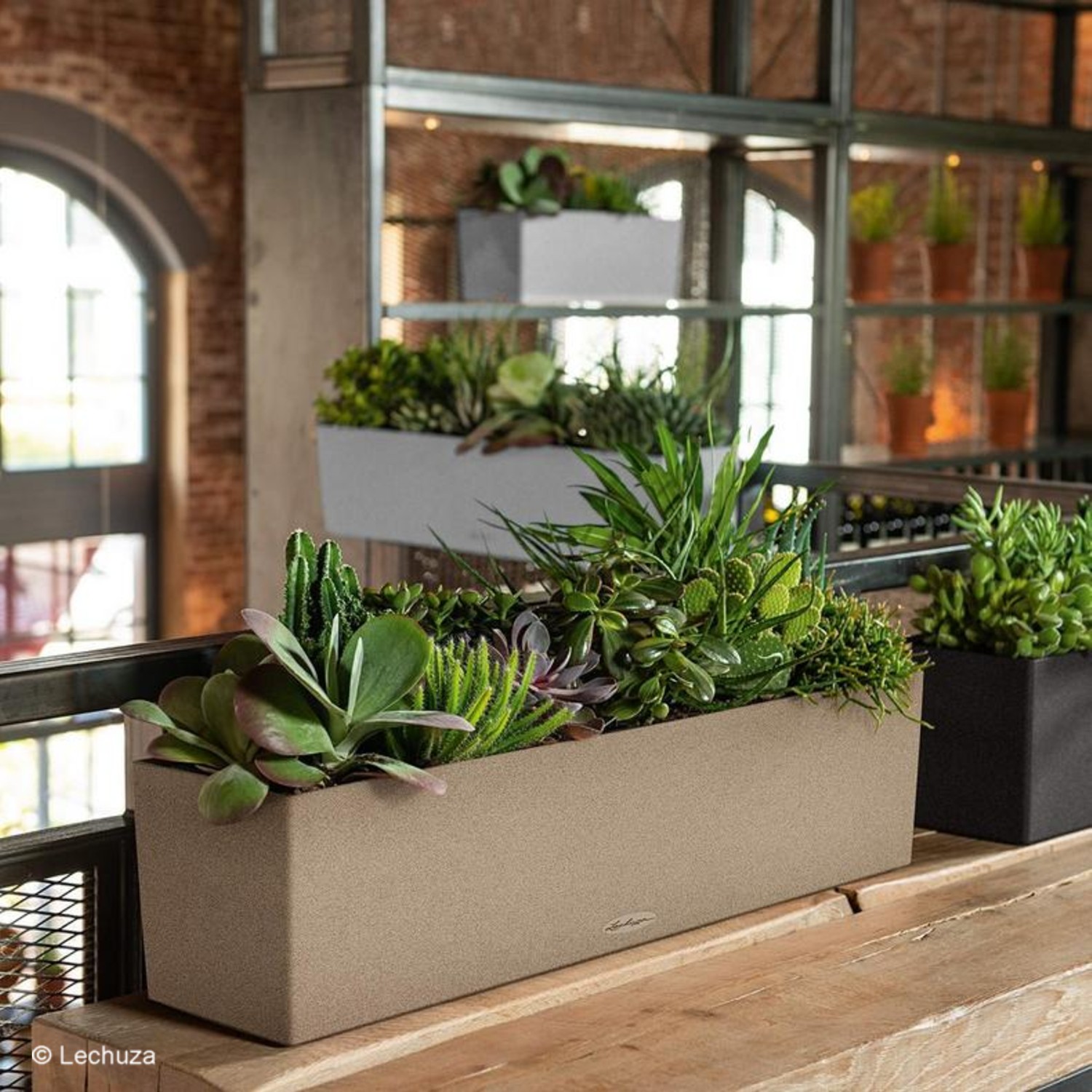 Lechuza Balconera Stone 80 sandbeige 15661 hier online | im aoshop.de