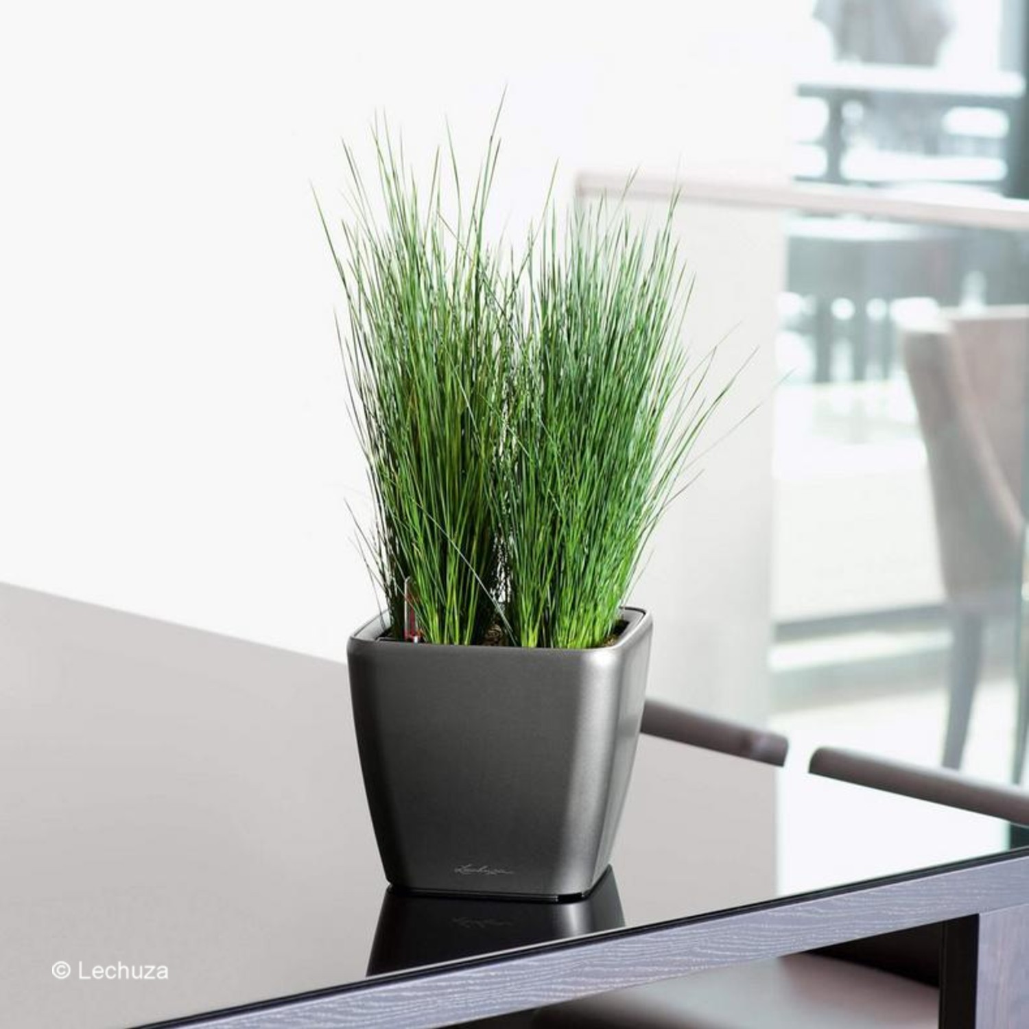 Lechuza Quadro LS 28 Pflanzkübel – Quadratisch, Silber Metallic, 28x28x26 Cm, Mit Versenkbarem Griff, Für Drinnen & Draußen